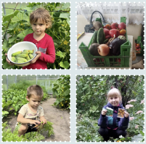 screenshot 2026 01 03 at 5.46.43 pm